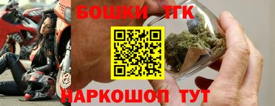 молекула духа Камышлов