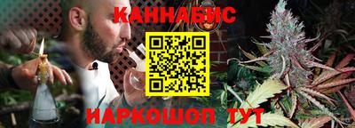 молекула духа Камышлов